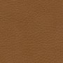 Parotega-Cashmere Parotega-Cashmere