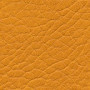 Parotega-Mango Parotega-Mango