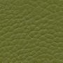 Parotega-Olivgrün Parotega-Olivgrün