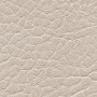 Parotega-Perle Parotega-Perle