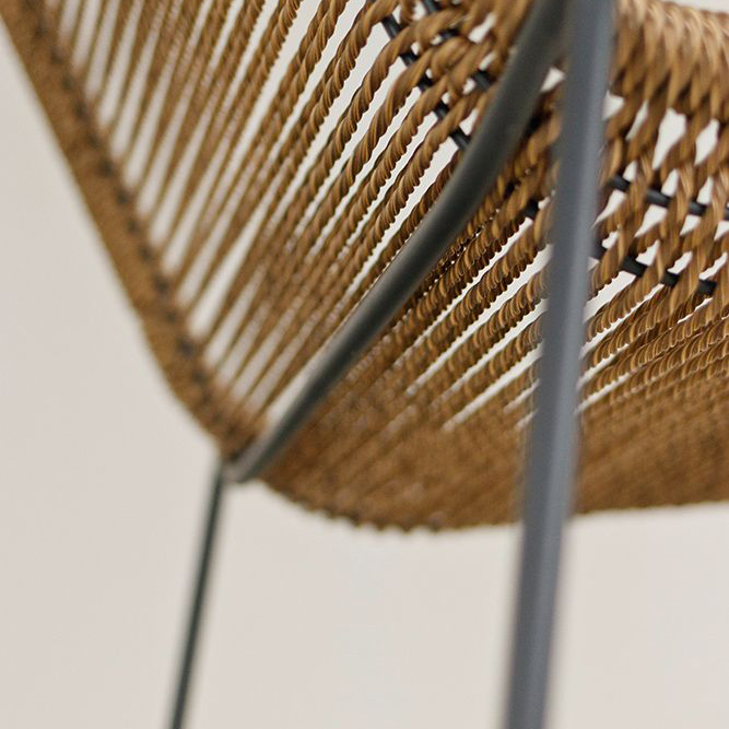 Juduna-wheat_Detail_1_1000px