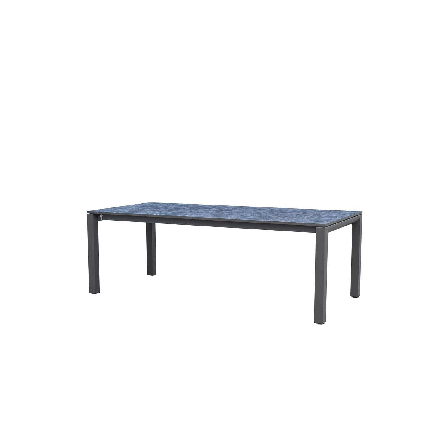 T1031-1 Tisch Dilata