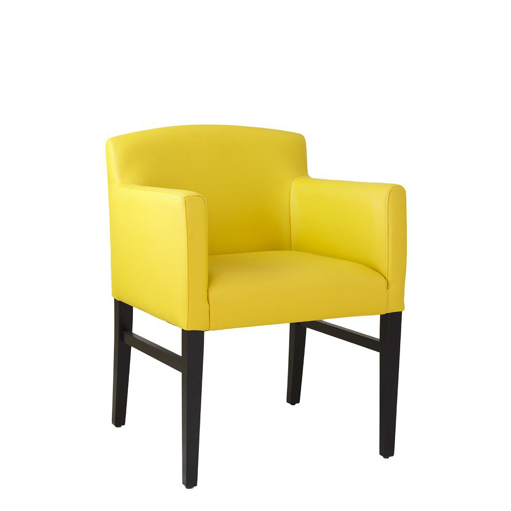 gastronomie-polsterstuhl-lebor-arm-_0 Lebor Arm