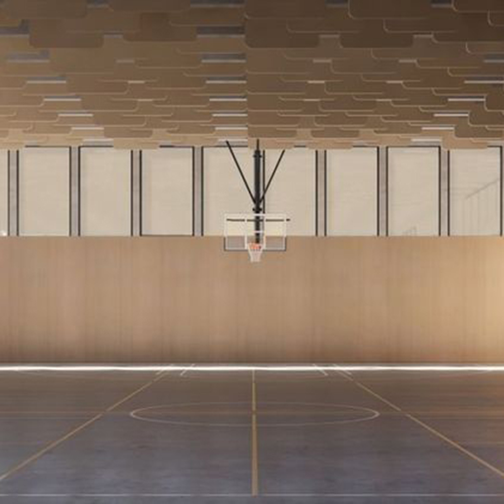 Acoustic-panels-in-Sports-Pavilions-Medium-6