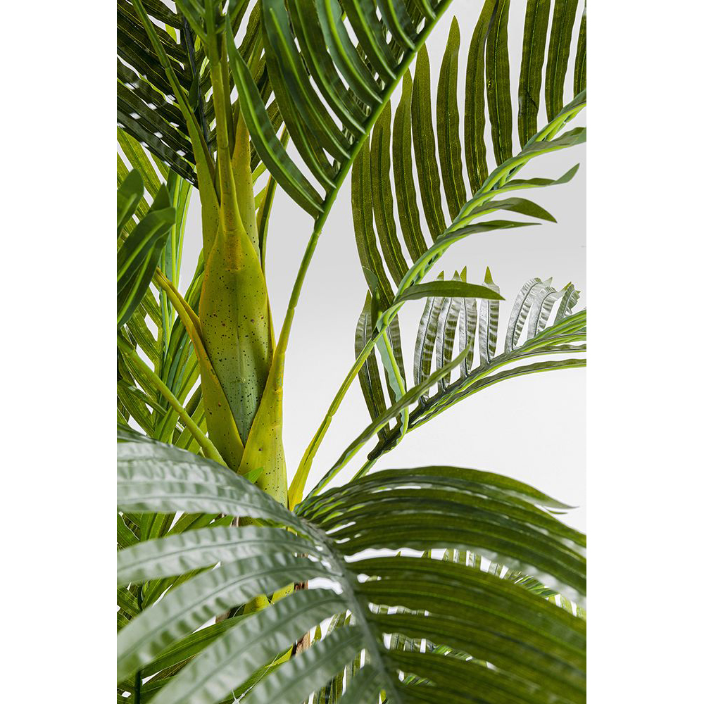 51789_detail_e_1000px