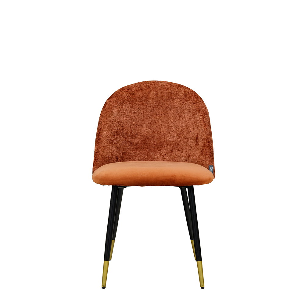 Lizo-Rusty_12_1000px