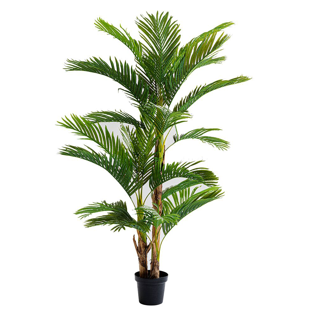 51789_frei_1000px Deko Pflanze Palm Tree 190cm