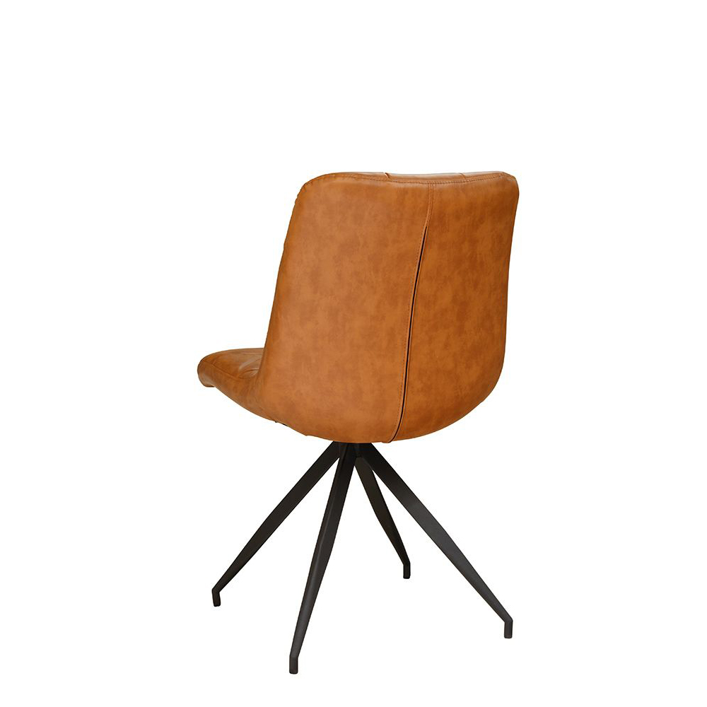 Coruto-brown_hinten_1000px