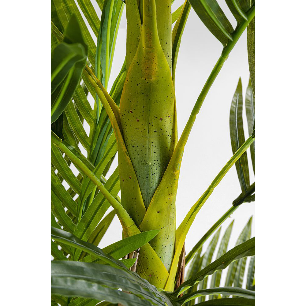 51789_detail_f_1000px