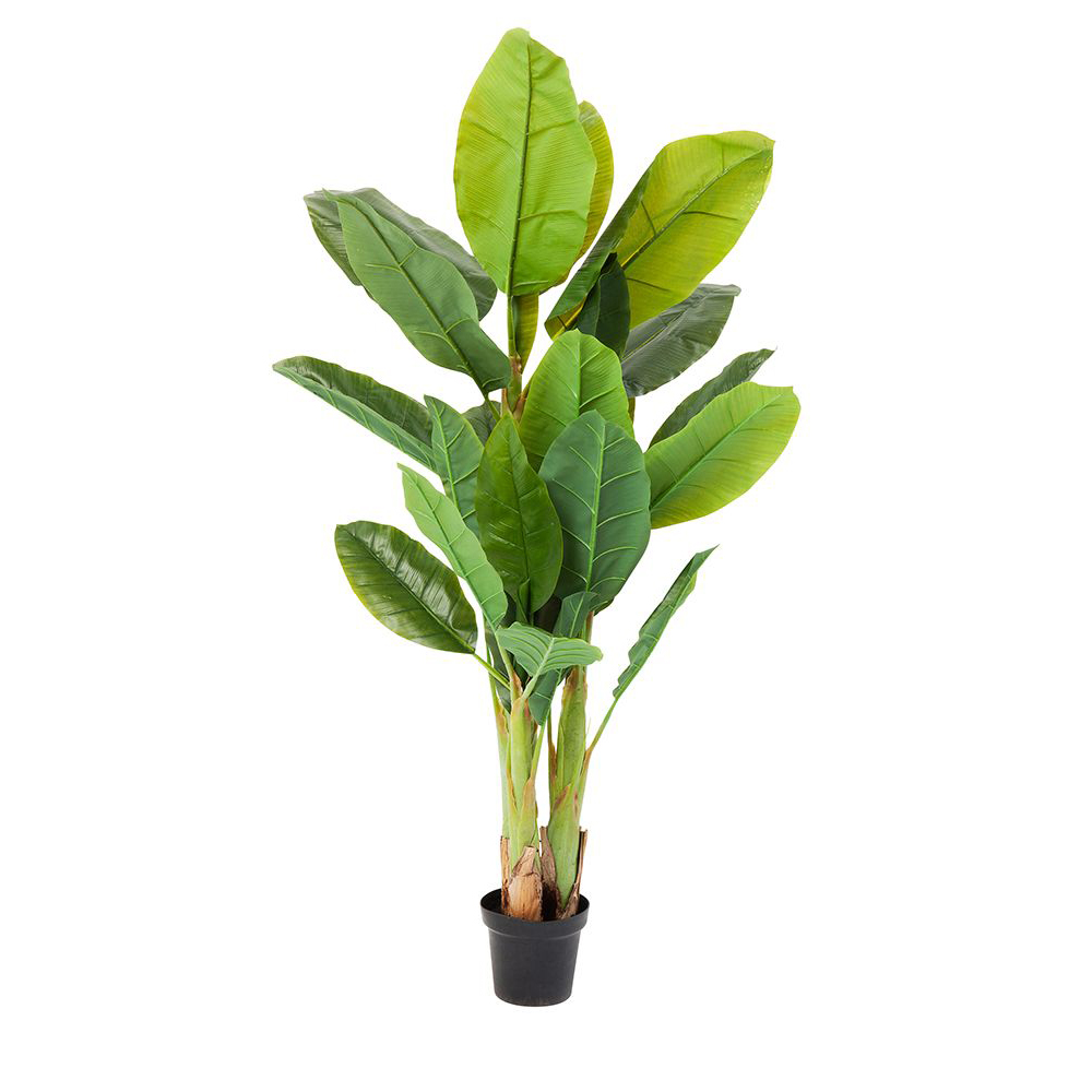 Deko Pflanze Banana Tree 180cm