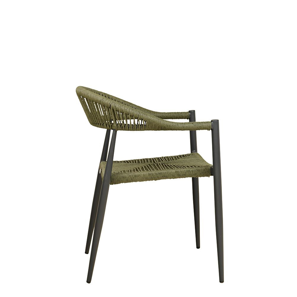 Spidana-green_Seite_1000px