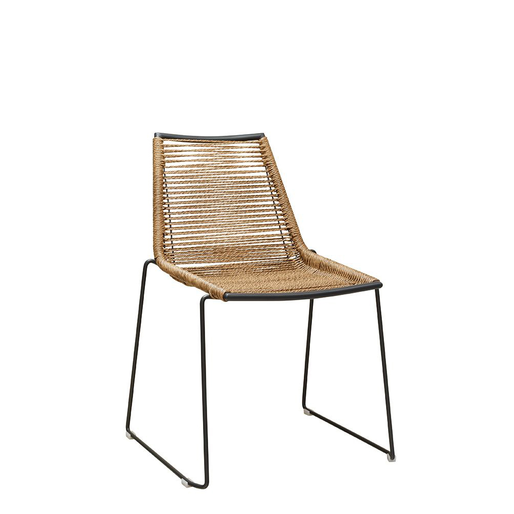 Juduna-wheat_vorne_1000px Juduna wheat