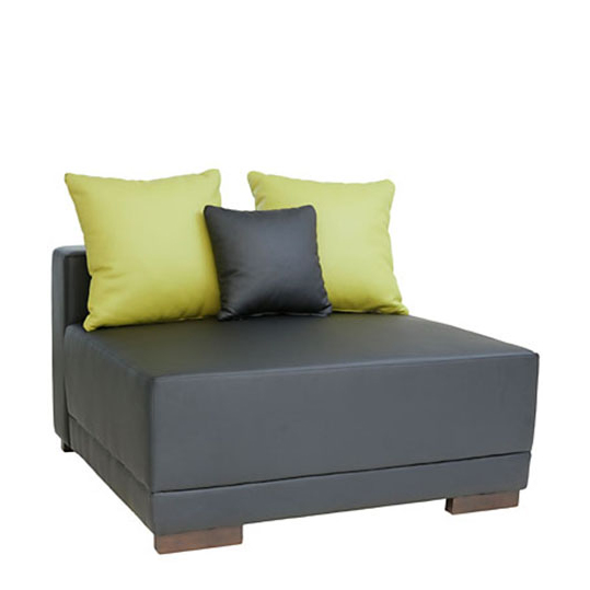 Sofa_2_0007_Kumana_Sesselelement_Kissen