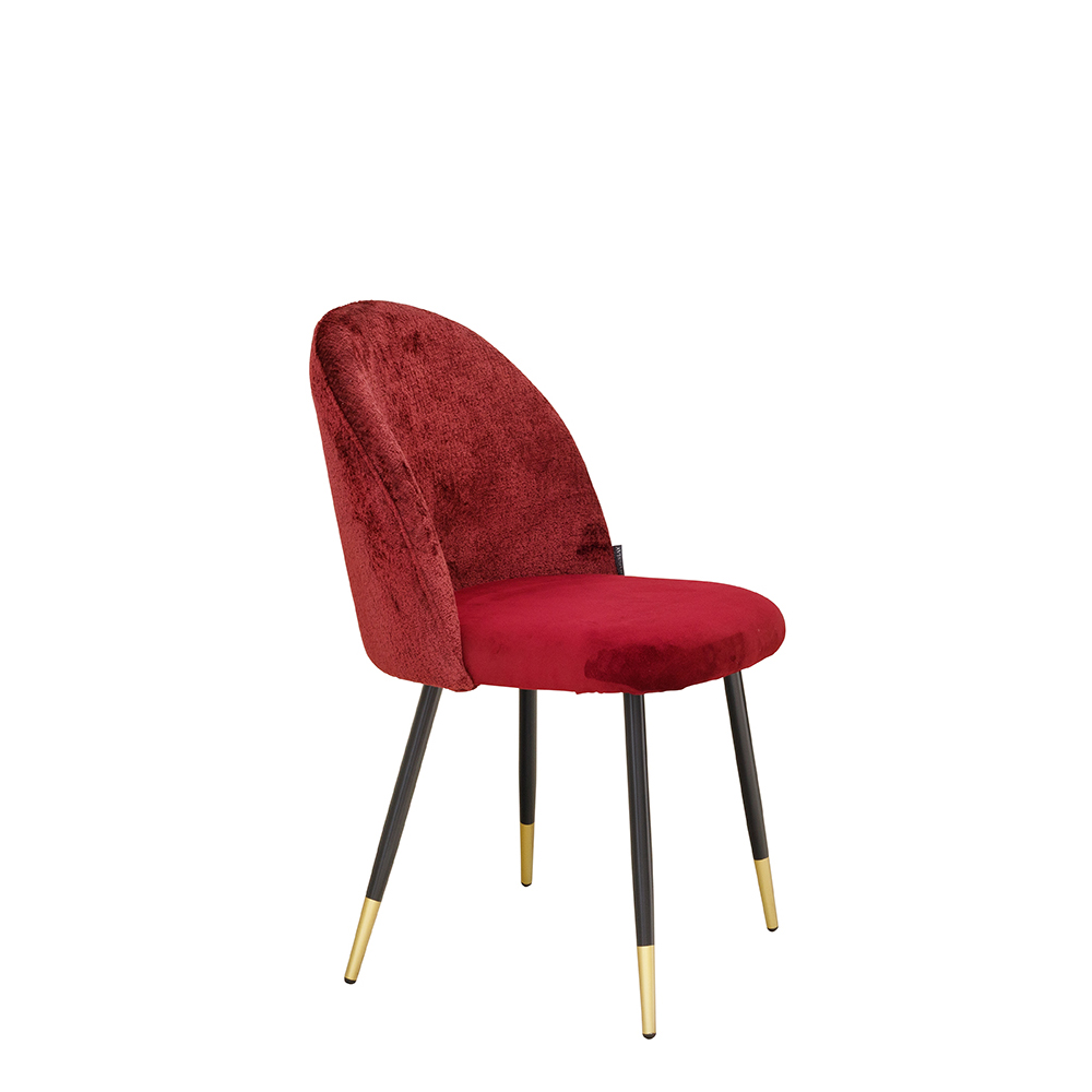 Lizo-100_ruby_2_1000px