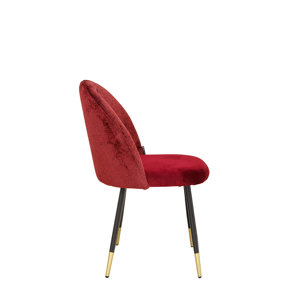 Lizo-100_ruby_seite_1000px