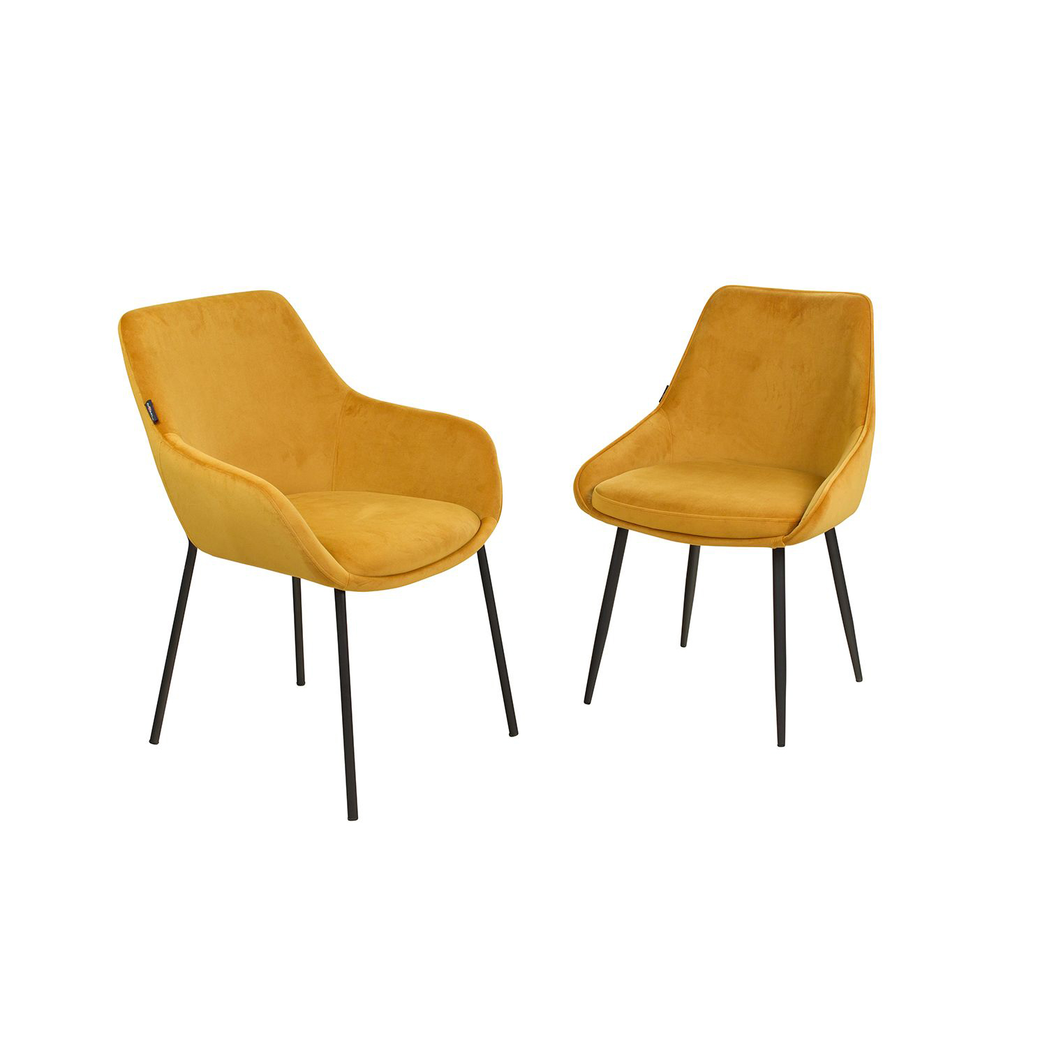 Revogo Gold | Bezug: OTE-RUSH-262