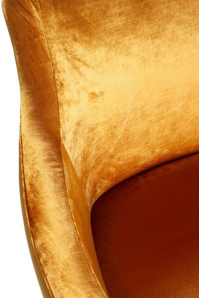 Beizton: PEG1/Bezug: Ernesto-300