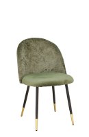 Lizo-100 Jungle Lizo-100 Jungle