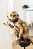 Vorschau: Deko Figur Circus Monkey 109 Vorschau: Deko Figur Circus Monkey 109