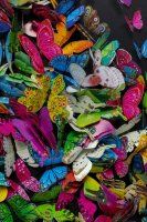 Vorschau: Deko Rahmen Farfalla 120x120cm Vorschau: Deko Rahmen Farfalla 120x120cm