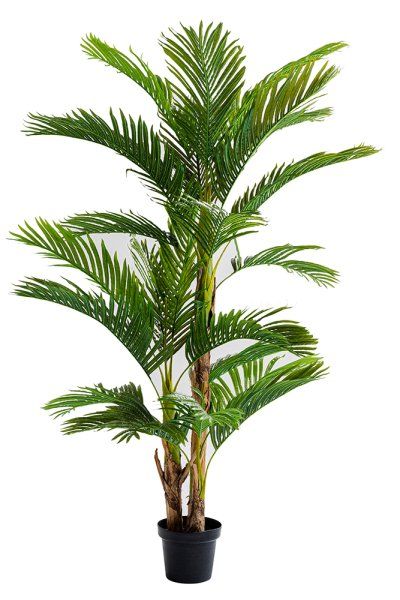 Deko Pflanze Palm Tree 190cm