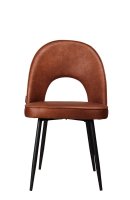 Lizard Toreador-105 Lizard Toreador-105