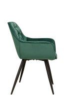 Ginger Dark Green Ginger Dark Green