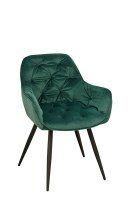 Ginger Dark Green Ginger Dark Green