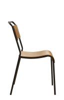 Vorschau: Scott Vorschau: Scott