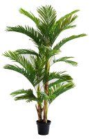 Vorschau: Deko Pflanze Palm Tree 190cm Vorschau: Deko Pflanze Palm Tree 190cm