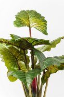 Deko Pflanze Rainforest Green 160cm Deko Pflanze Rainforest Green 160cm