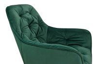 Vorschau: Ginger Dark Green Vorschau: Ginger Dark Green