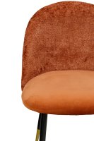 Vorschau: Lizo-100 Rusty Vorschau: Lizo-100 Rusty