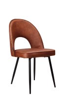 Lizard Toreador-105 Lizard Toreador-105