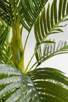 Vorschau: Deko Pflanze Palm Tree 190cm Vorschau: Deko Pflanze Palm Tree 190cm