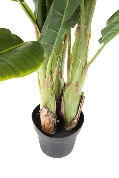 Deko Pflanze Banana Tree 180cm