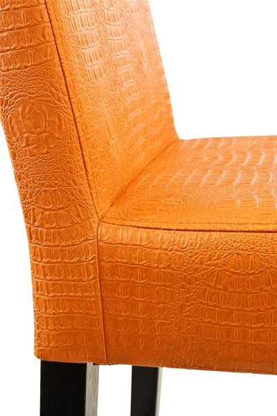 Beizton: Wenge/Bezug: Kroko-224x4282