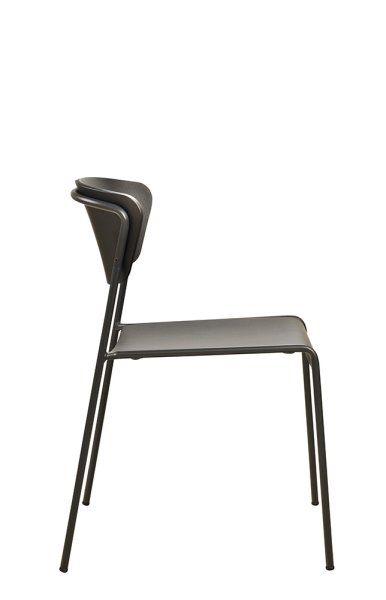 Dekor: Black Stained Oak