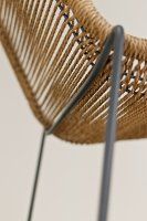 Vorschau: Juduna-wheat Vorschau: Juduna-wheat