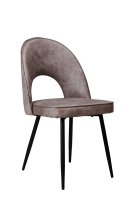 Lizard Toreador-803 Lizard Toreador-803