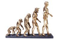 Deko Figur Evolution Deko Figur Evolution