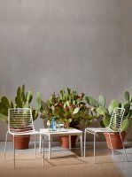 Vorschau: Sunny 2522 Vorschau: Sunny 2522