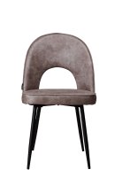 Lizard Toreador-803 Lizard Toreador-803