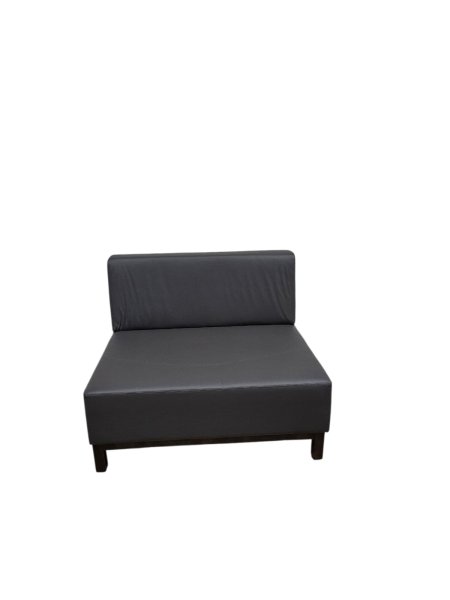 Loungeelement Jani 100 - Sonderposten