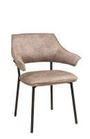 Bull-Toreador-803 Bull-Toreador-803