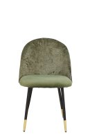 Lizo-100 Jungle Lizo-100 Jungle