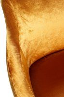 Vorschau: Beizton: PEG1/Bezug: Ernesto-300 Vorschau: Beizton: PEG1/Bezug: Ernesto-300