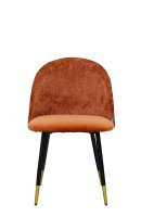 Vorschau: Lizo-100 Rusty Vorschau: Lizo-100 Rusty